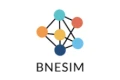 BNSIM
