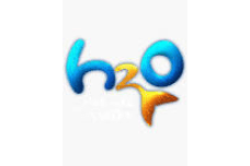 H20