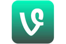 Vine