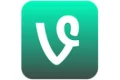 Vine